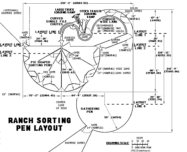 Cattle Pen Layout