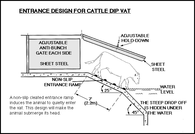 cattle dipping